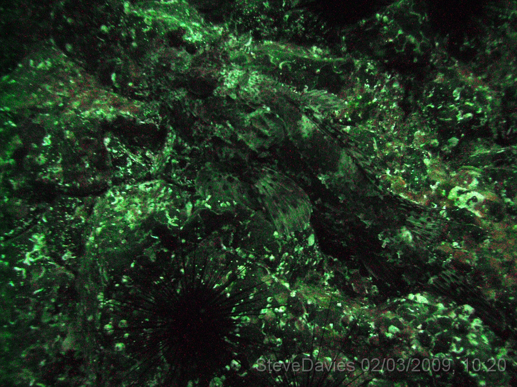 PICT0014.JPG - Digital image  