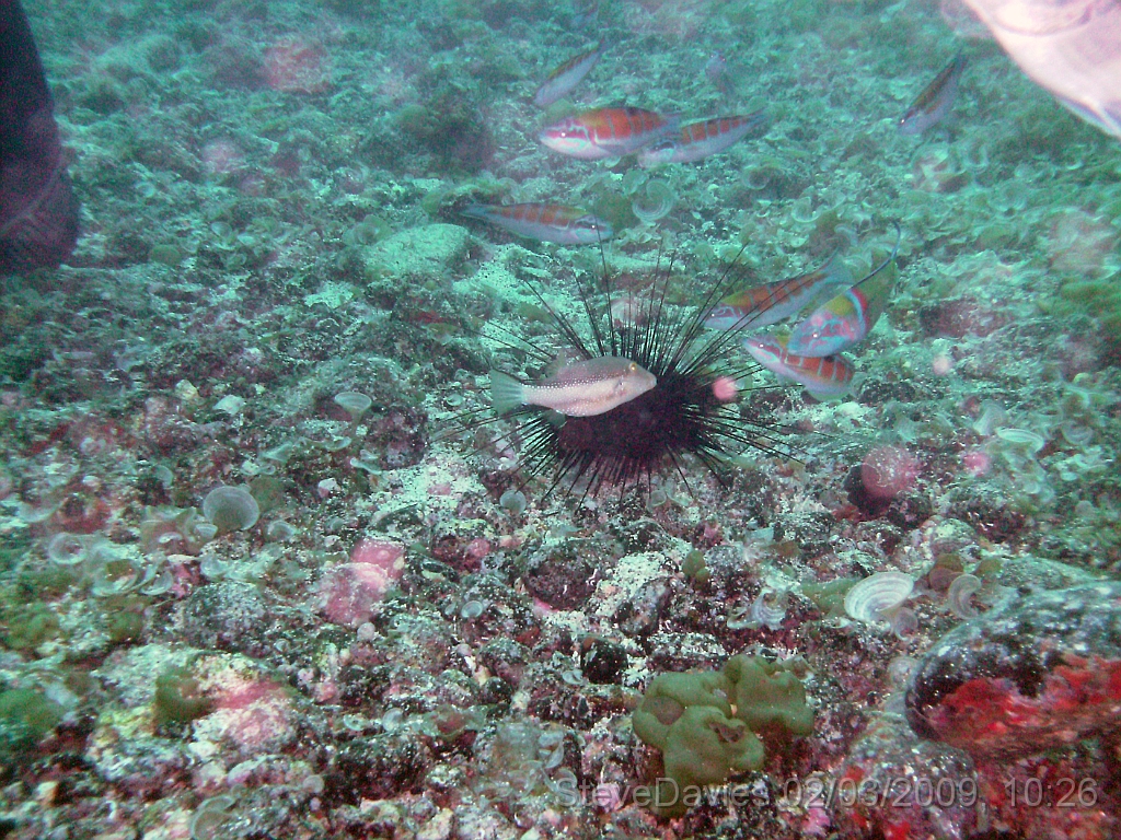 PICT0019.JPG - Digital image  