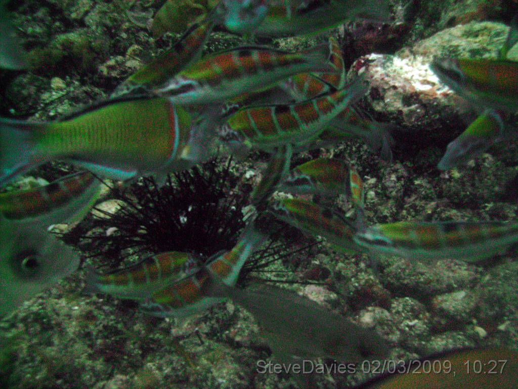 PICT0023.JPG - Digital image  