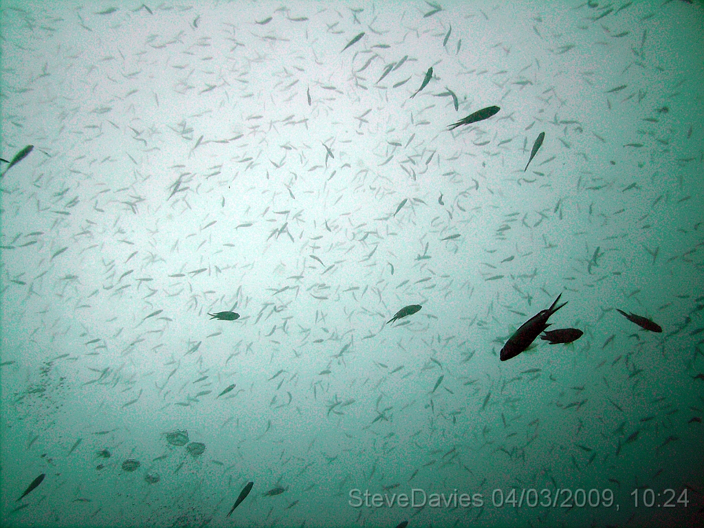 PICT0048.JPG - Digital image  