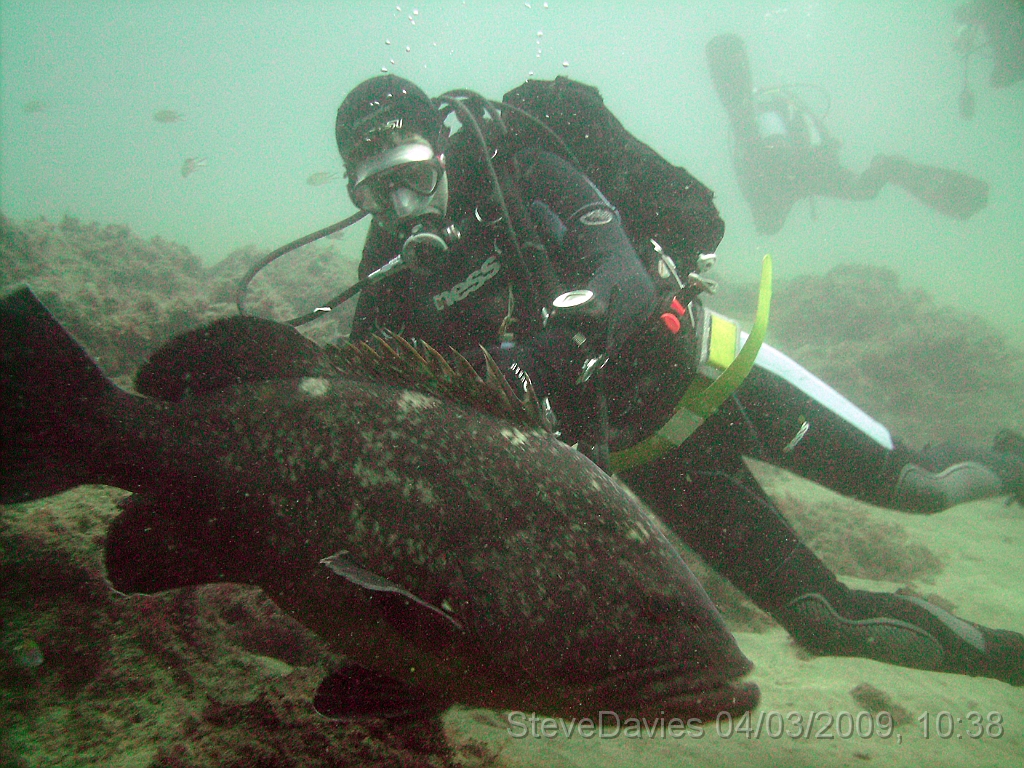 PICT0062.JPG - Digital image  